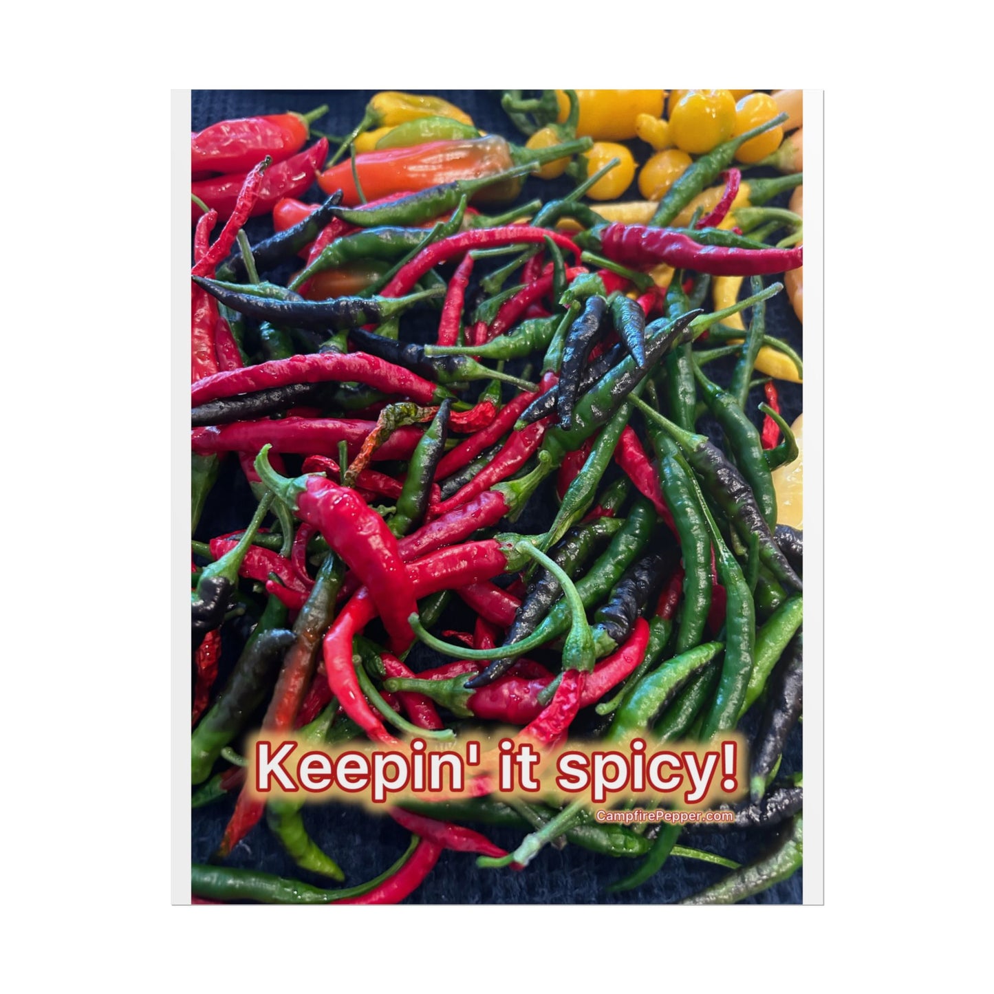 Rolled Poster — Keepin' It Spicy! Colorful Chili Pepper Wall Art