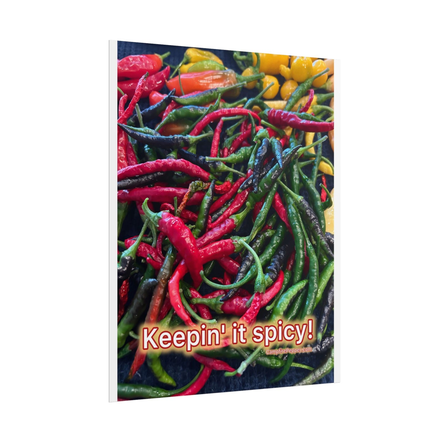 Rolled Poster — Keepin' It Spicy! Colorful Chili Pepper Wall Art