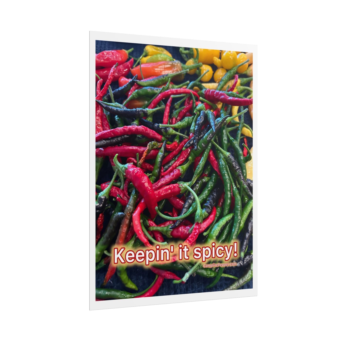 Rolled Poster — Keepin' It Spicy! Colorful Chili Pepper Wall Art
