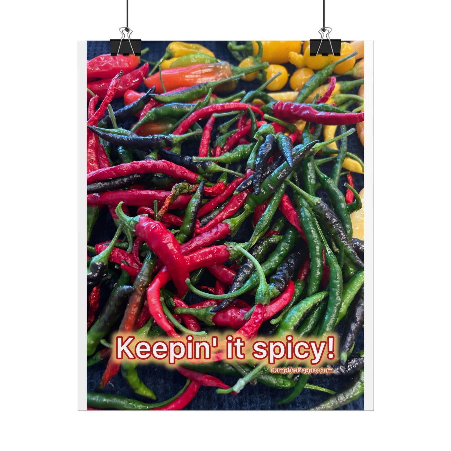 Rolled Poster — Keepin' It Spicy! Colorful Chili Pepper Wall Art