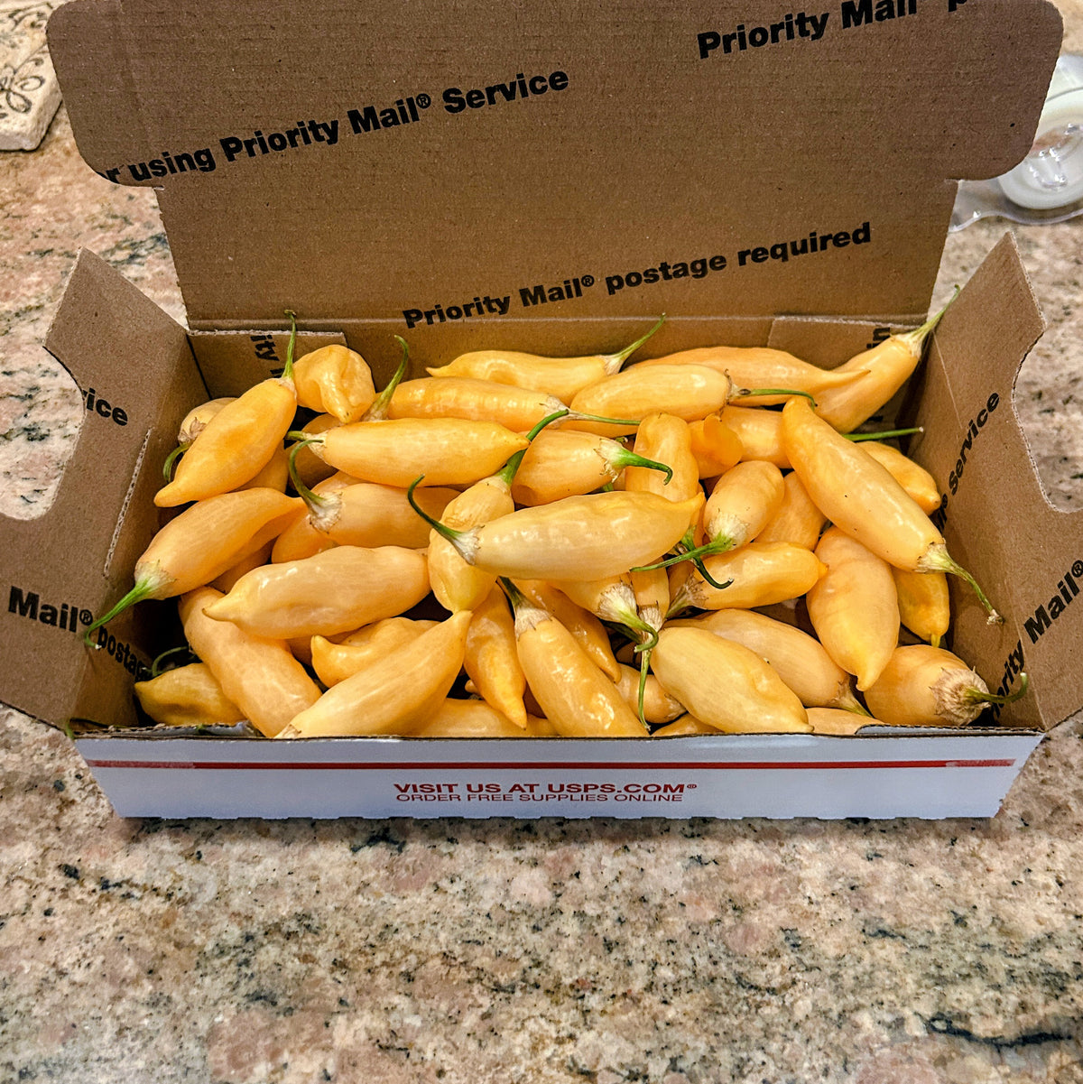 Fresh Sugar Rush Peach Peppers (Full SFRB)